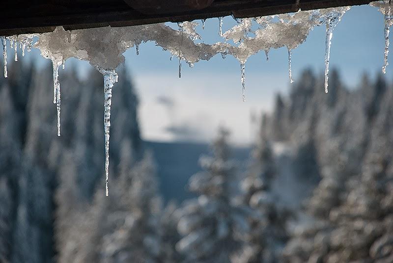 Apartment Suncani Vrhovi Kopaonik Bagian luar foto